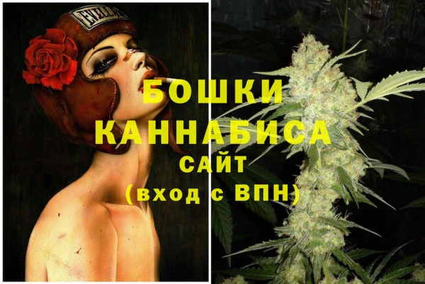 гашик Михайлов