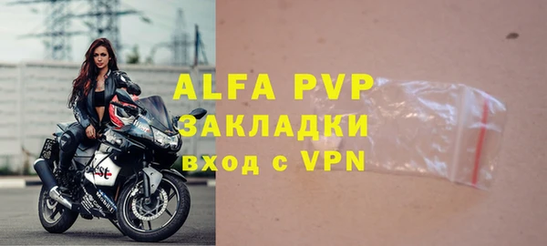 гашик Михайлов
