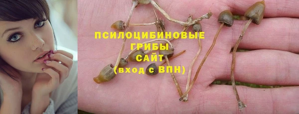 гашик Михайлов