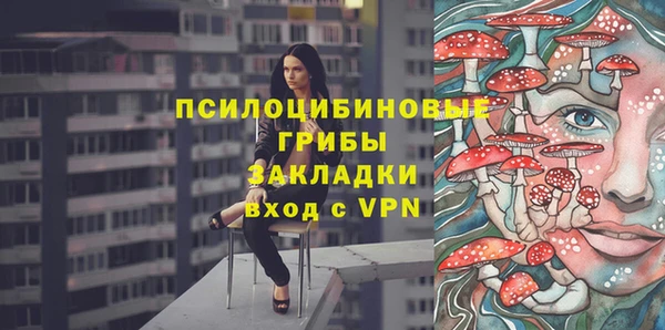 mix Билибино