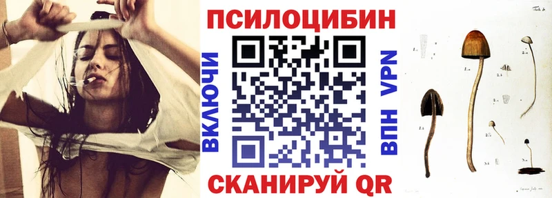 где можно купить   Нерчинск  Галлюциногенные грибы MAGIC MUSHROOMS 